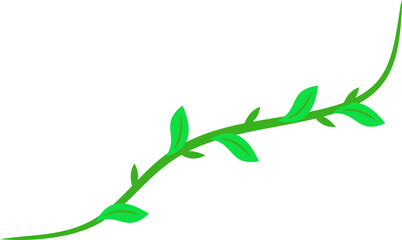 Creeping Leaves Root