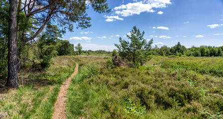 Gravel hiking trail through the Korenburger Veen nature reserve near Winterswijk.