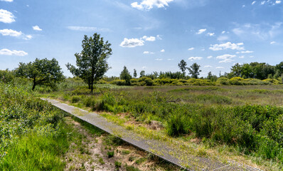 Hiking trail through the Korenburger Veen nature reserve near Winterswijk.