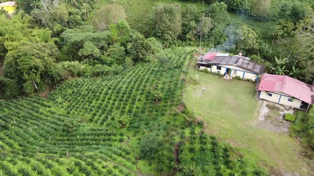 Finca en medio del campo colombiano, al rededor de varios cultivos