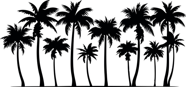 A row of palm trees are depicted in black and white. The trees are tall and slender, with their trunks reaching up towards the sky. Concept of tropical paradise, with the palm trees providing a lush