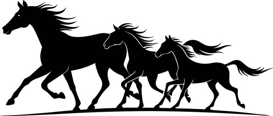 Three horses running in a line. The horses are black and white