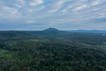 Obraz premium Aerial view of green meadow name 