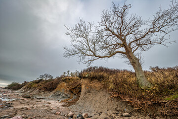 Die malerische Steilküste bei Katharinenhof auf der Ostseeinsel Fehmarn nach dem Sturm, im Herbst 2023