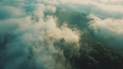 Fototapeta premium Aerial View of a Forest Enveloped in Mist