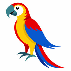 Fototapeta premium Magnificent Macaw boasts striking blue, yellow and red feathers, real looking full body image, white background