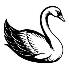 Mute swan vector silhouette 