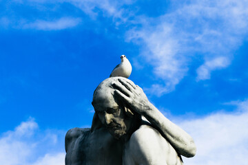 Gaviota enana en una estatua