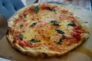 Basil topped artisanal pizza
