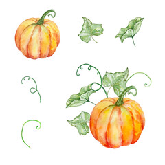 Watercolor pumpkins and foliage illustration set