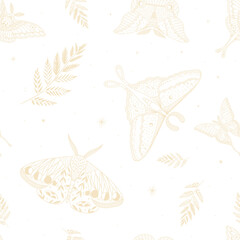 illustration set of moon phases. Different stages of moonlight activity in vintage engraving style. Zodiac Signs	