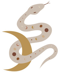 illustration set of moon phases. Different stages of moonlight activity in vintage engraving style. Zodiac Signs	