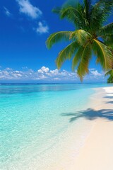 Tropical beach with clear water and palm trees