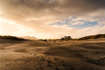 Landscape of golden sand dune with tourist walking and footprint in wilderness at West coast of Cape Farewell