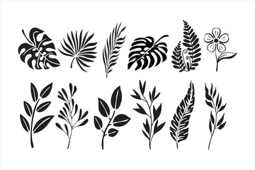 Tropical rain forest leaf set vector hand drawing t