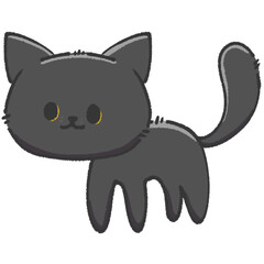 black cat (halloween)