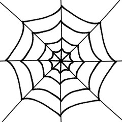 spider web