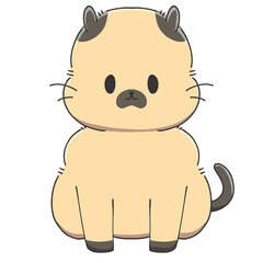 siamese (Thai cat) 2