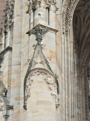Albi 8