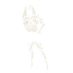 illustration set of moon phases. Different stages of moonlight activity in vintage engraving style. Zodiac Signs	