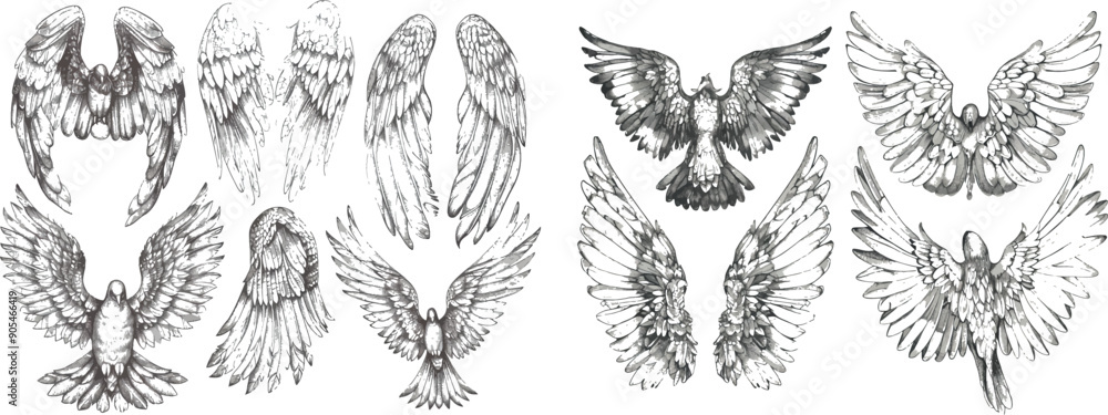 Aufkleber an illustration of a birds' or angels' wings with feathers on the wing. different heraldic symbols e