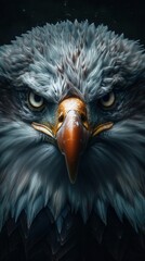 Fototapeta premium Bald eagle portrait with American stars and stripes sunglasses, intense gaze, vibrant patriotic theme, close-up, dark background,