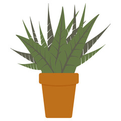 Decorative potted plant. Vector illustration. Isolated on a white background. 