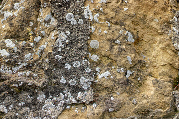 the wall with mold heels 