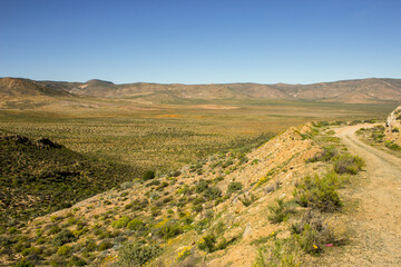 Naklejka premium A small dirt road, going over a mountain pass in the arid scrublands of Namaqualand in South Africa.