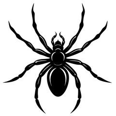 realistic spider silhouette vector art illustration