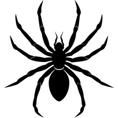 realistic spider silhouette vector art illustration