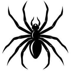 realistic spider silhouette vector art illustration
