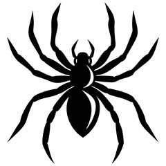 realistic spider silhouette vector art illustration