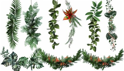 Elegant Tropical Floral Wreath Collection: Decorative Botanical Designs for Marketing and Advertising. Vibrant Isolated Flower Arrangements on White Background, Perfect for Branding, Invitations, and 