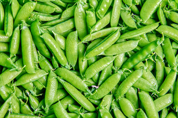 Texture of harvested garden peas on horizontal surface close-up nobody.