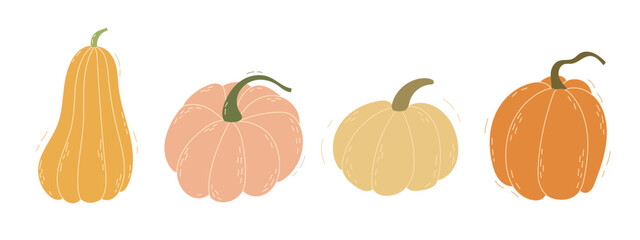 Hand drawn pumpkin set. Autumn, fall, thanksgiving and halloween decoration.