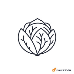 Cabbage icon vector illustration. Cabbage symbol isolated on white background
