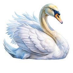 Fototapeta premium Watercolor clipart elegant swan, graceful bird, soft white, transparent background