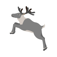 vector drawing reindeer, caribou, Christmas deer isolated at white background, hand drawn illustration