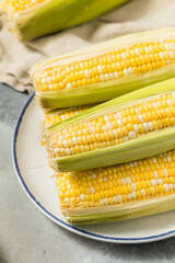 Multi Colored Sweet Corn on the Cob