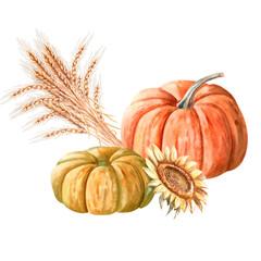 A composition of pumpkins, a bunch of wheat ears and a sunflower painted in watercolor. Illustration on the theme of autumn, for fairs, invitations. The illustration is isolated from the background.