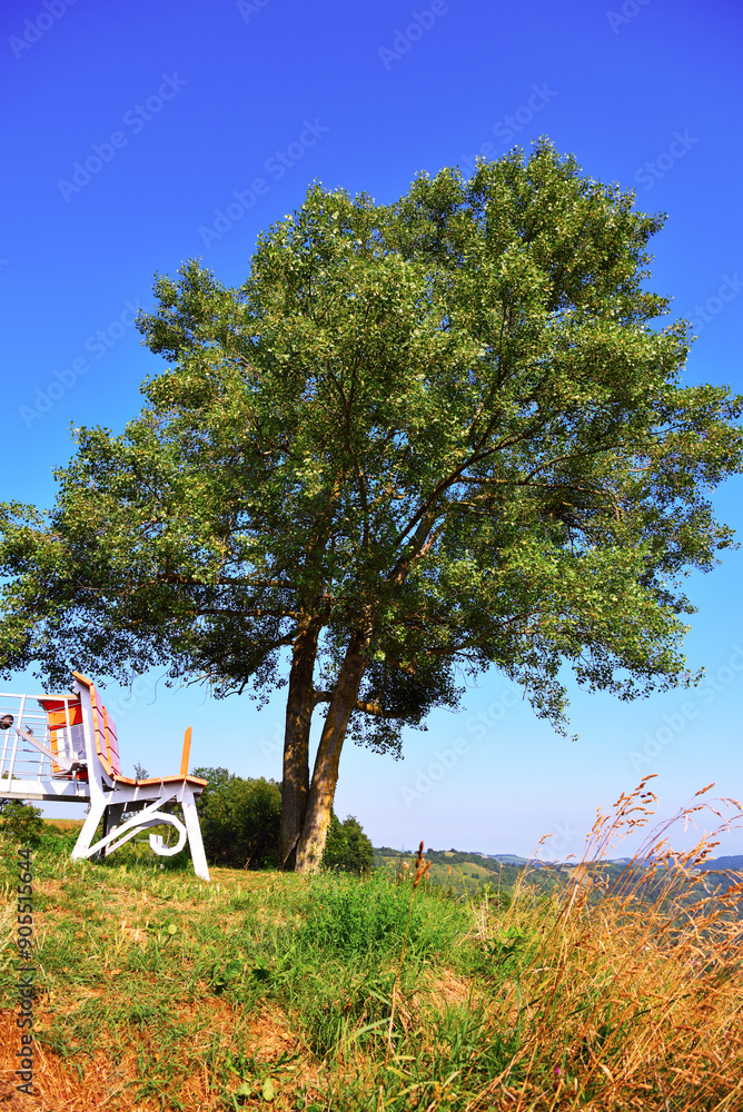 Poster big benches in langhe cuneo italy