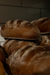 Freshly baked rye oval bread on a bakery shelf. Close-up. Vertical photo. Oval rye yeast-free bread.. Loaves of bread on a store shelf. High quality photo