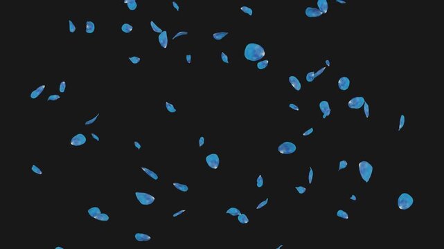 falling blue rose flower petals isolated alpha matte channel