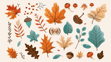 Fototapeta premium A variety of leaf shapes. Oak maple, and other deciduous tree leaves