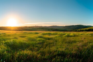 Fototapeta premium Golden sunrise over vibrant green hills and valleys.