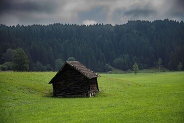 old ruined wooden shack on a field in an Austrian mountain region