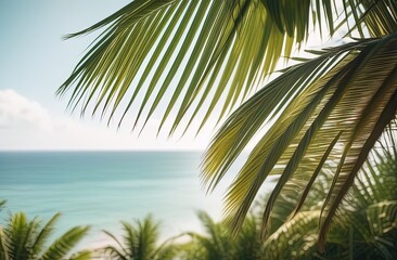 Fototapeta premium Palm and tropical beach. background with sea and palm leaves
