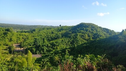 Fototapeta premium Goalia Palong Green Park Hill