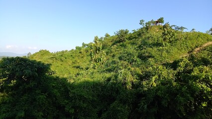 Obraz premium Goalia Palong Green Park Hill